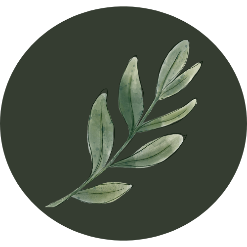 Bienestar integral